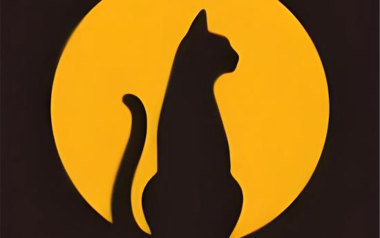 黑猫盒子版本大全