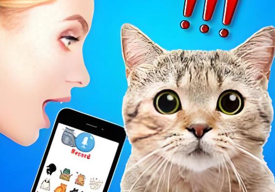 猫狗翻译软件大全