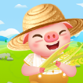 金币养猪场赚钱版