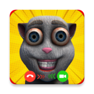 我会说话的胡安