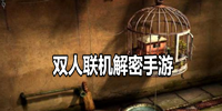 双人联机解密手游