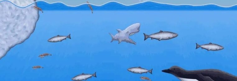 吞噬成长类游戏