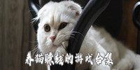 养猫赚钱的游戏合集